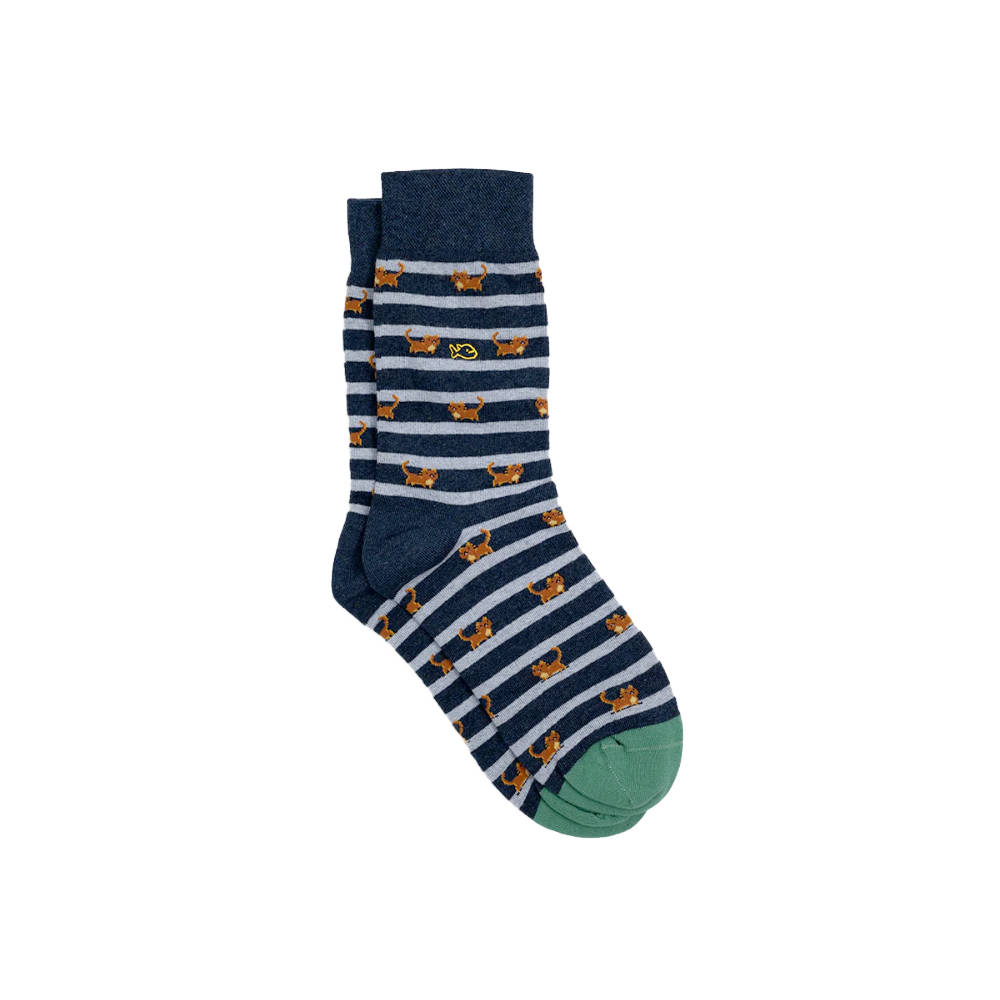 BillyBelt - Combed cotton socks Animals - Cat